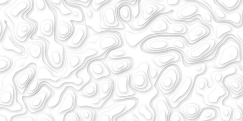 3d render, abstract white paper background. Paper cut vector art background banner texture. multi layer cutout geometric pattern on vector, Abstract soft white background with waves.	