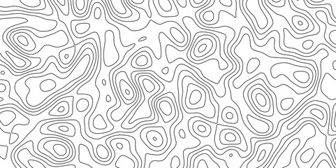 abstract white wave paper curved reliefs background. Topography map pattern, Geographic curved, vector illustration. seamless textrue, vintage waves. Panorama view multicolor wave curve line.