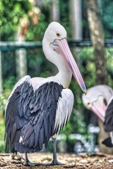 Port Douglas, Queensland, Australia
