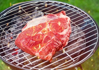 Beef Filet hot tasty meat in Grill With Fire