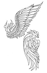 hand drawn illustration of wings pen drawing for illustration card decoration