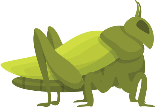 Grasshopper icon cartoon vector. Nature cricket. Funny cute jump