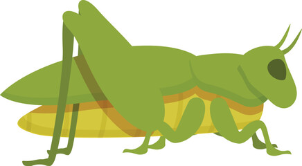 Green grasshopper icon cartoon vector. Nature insect. Figure natural