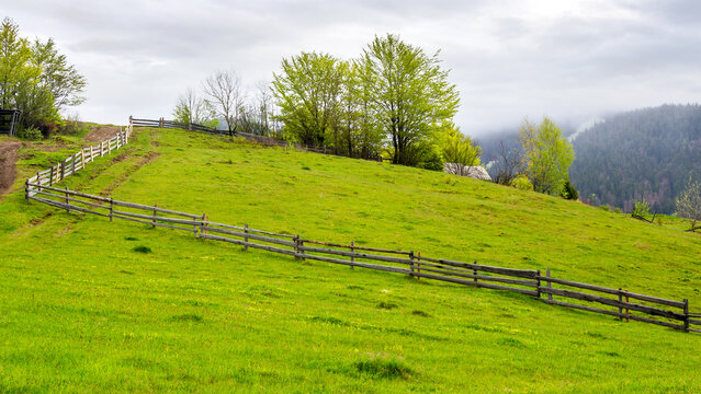 wooden fence on the grassy hill. mountainous rural landscape of ukraine in spring. carpathian countryside on an overcast day
