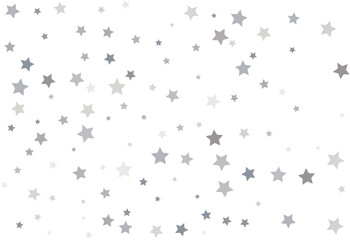 Bouquet of Silver Stars