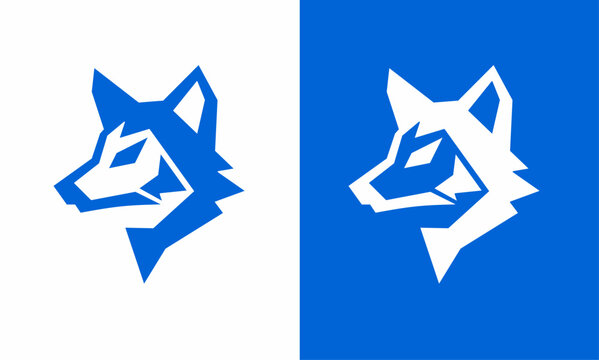 graphic vector illustration of template logo design wolf head symbol in blue