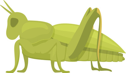 Ant grasshopper icon cartoon vector. Jump small. Animal bug insect