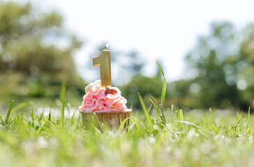 Cupcake with the number one on green grass. Birthday celebration concept. One Year Old Child