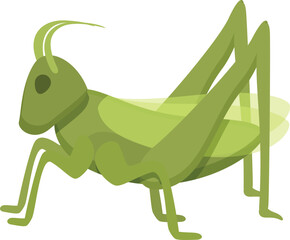 Jump grasshopper icon cartoon vector. Life insect. Animal bug art