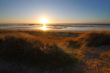 Fototapeta premium Sand dunes and beach of Annoville in Cotentin coast