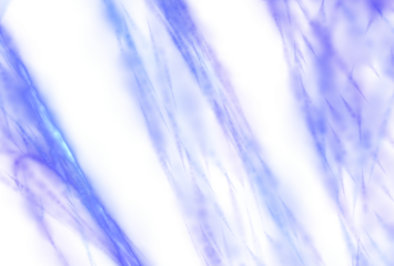 Chaotic Neon Background