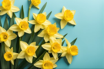 Fototapeta premium Bright Yellow Daffodils Against Blue