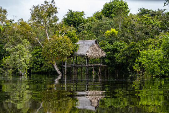 CRECIENTE DE LOS R&Iacute;OS EN LA SELVA, AGUA ALCANZANDO HASTA LAS VIVIENDAS DE LOS POBLADORES AMAONICOS.