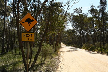 Countryside landscape, Rural Victoria Australia 