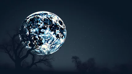 Store enrouleur occultant Pleine Lune arbre Lunar landscape with full moon in night sky