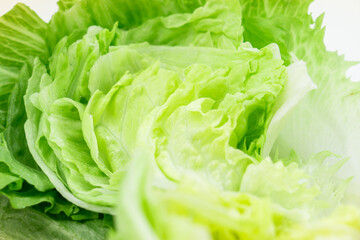 レタスのクローズアップ