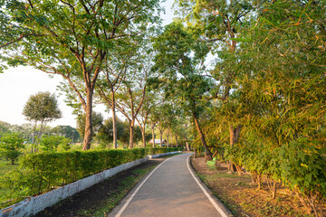 City park pathway tropical forest sunset sky