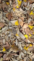 Garden Texture material