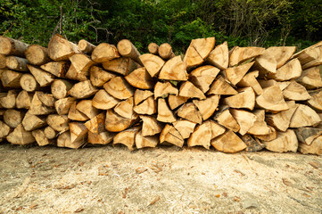 Pile of wood. Freshly cut wood logs stacked in the forest. Firewood, environmental damage, ecological issues, deforestation, alternative energy, lumber industry, business