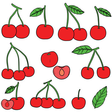 Set of cherries fruit drawing clipart. Set of cherry fruits