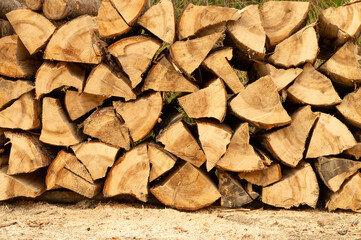 Pile of wood. Closeup freshly cut wood logs stacked in the forest. Firewood, environmental damage, ecological issues, deforestation, alternative energy, lumber industry