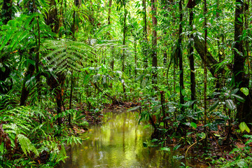 Sentier de la Maison de la forêt