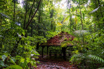 Sentier de la Maison de la for&ecirc;t