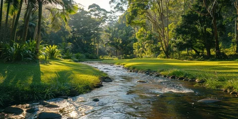 Papier Peint photo Rivière forestière Tranquil nature view featuring meandering river through lush grassy landscape beauty with green trees and clear water ideal for capturing essence of peaceful outdoor environments of forest parks