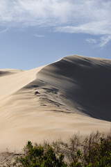 Fototapeta na wymiar Mateland Dunes