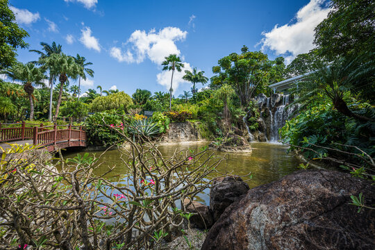 Jardin botanique de Deshaies
