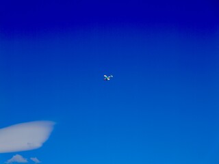 Plane flying near the Aeroclub de Castelló, El Grao de Castellón, Valencia, Spain