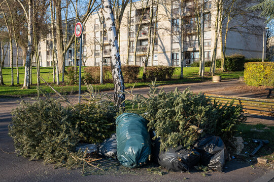 Dépot sauvage de sapins de Noël sur le trottoir