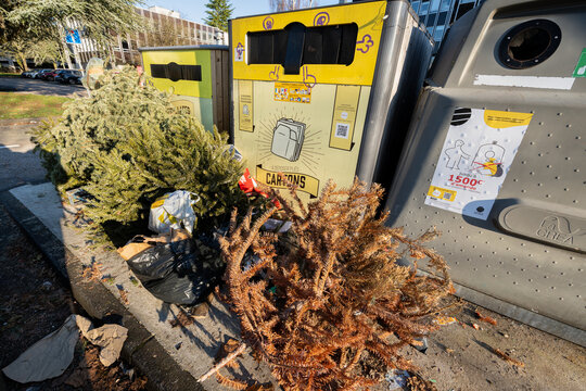 Dépot sauvage de sapins de Noël autour de conteneurs poubelles