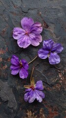 Small purple flowers on the floor