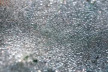 Water drops in nature in the morning. shot of macro