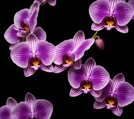 A branch of purple orchids with a patterned design on the petals against a black background
