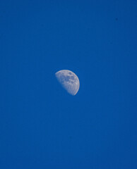 Fototapeta premium moon in the sky