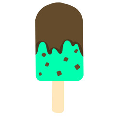 Choc mint Ice Cream