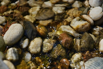 stones in a riverbed