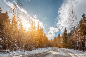 Fototapeta premium empty road through the winter mountain forest at sunset