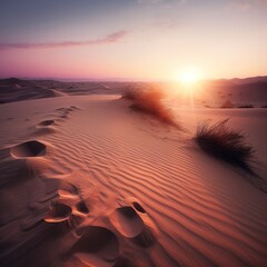 dawn over the sand dunes