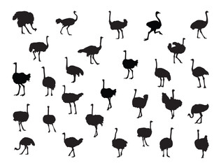 Ostrich silhouette vector art white background