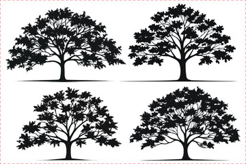 Maple tree silhouette icon set, Silhouettes of maple tree, Tree silhouette isolated on white background