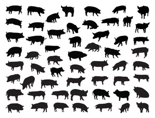Pig silhouette vector art white background