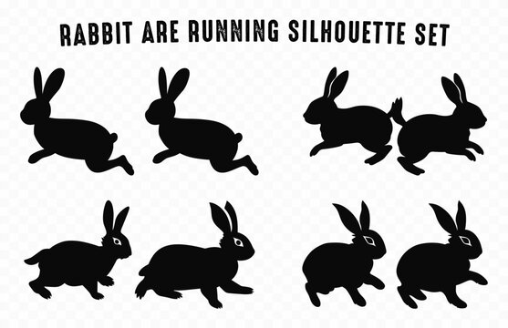 Two Rabbit are running Silhouette vector set, Easter bunny silhouettes black clipart bundle