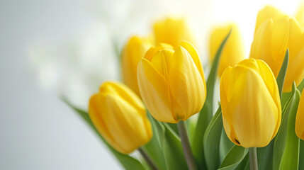 Obraz premium Yellow tulips background spring flowers banner Mothers Day card