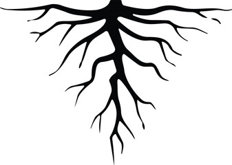 Tree root silhouette icon vector. Taproot and fibrous root system plant, realistic black roots  - obrazy, fototapety, plakaty