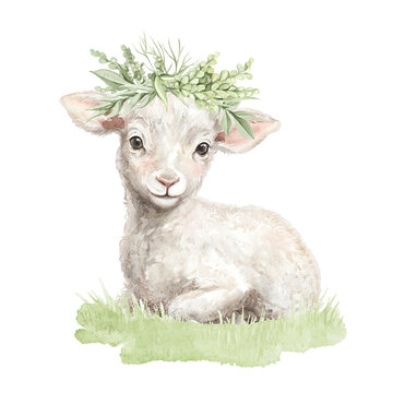 Cute vintage Easter lamb with floral green wreath lying on grass meadow composition isolated on white background. Watercolor hand drawn illustration sketch