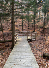Obraz premium Wooden bridge in the forest. Path in autumn woods. Deck and boardwalk in a nature park. Footpath among the colorful trees.