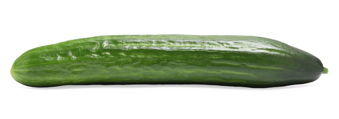 One long fresh cucumber isolated on white